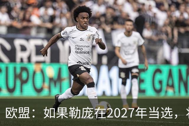 欧盟:如果勒庞在2027年当选,将“迅速准备对俄罗斯实施制裁”