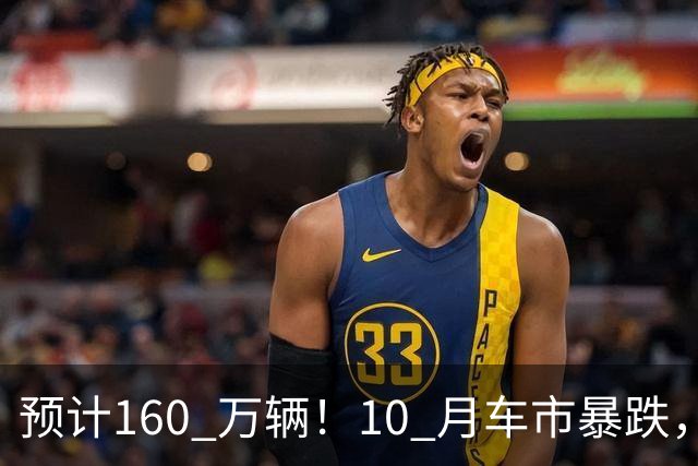 预计160 万辆!10 月车市暴跌,新能源独自托底